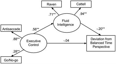 <mark class="highlighted">Fluid Intelligence</mark> as a Mediator of the Relationship between Executive Control and Balanced Time Perspective